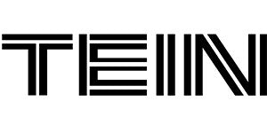 TEIN logo