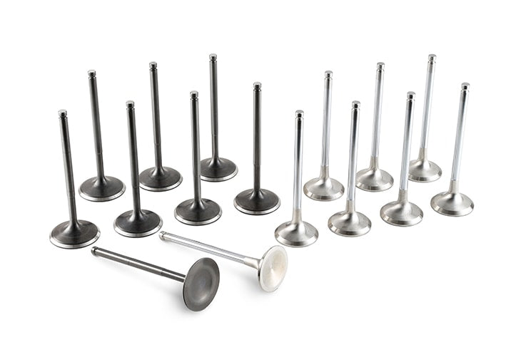 RSE RACING VALVE SET FOR HONDA K20 K24 RA303A-HN01A
