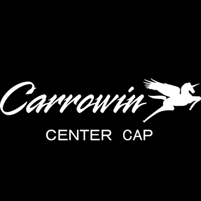 WEDS CAROWIN CAP PT3 CP-PT3 FOR PK-354SN 12 INCH 0015061