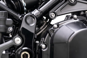 PLOT SWAGE-LINE PRO REAR BRAKE HOSE KIT STAINLESS STEEL FITTINGS BLACK SMOKE HOSE FOR KAWASAKI Z900RS STPB0602R