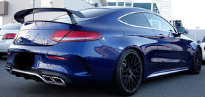 SARD LSR WING PLAIN CARBON LOW TYPE FOR  81040