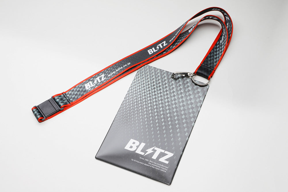 BLITZ CREDENTIAL CASE 13926