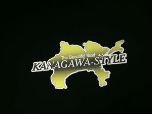 CAR MAKE T&E [NEW COLOR] KANAGAWA-STYLE KANAGAWA STYLE STICKER CHROME WHITE BLACK YELLOW CHROME WHITE FOR  CARMAKETE-02857