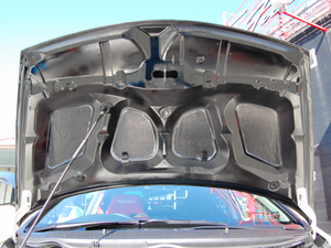 TOP FUEL CARBON BONNET FOR HONDA FIT GE6 7 8 9