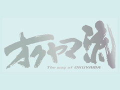 OKUYAMA OKUYAMA STYLE STICKER M MIRROR SILVER 384-002-1