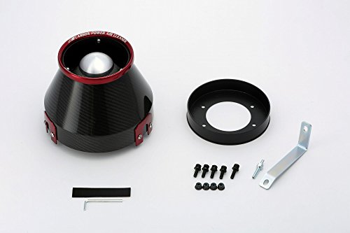 BLITZ CARBON POWER INTAKE KIT  For NISSAN SKYLINE ER34 RB25DE 35028