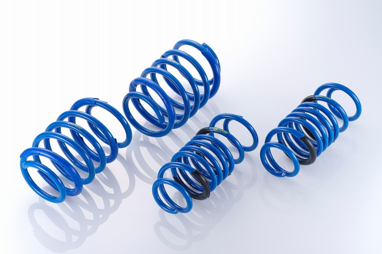 SPOON PROGRESSIVE SPRING FOR HONDA CIVIC FL5 K20C 51400-FL5-001