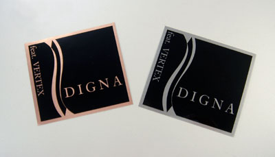CAR MAKE T&E DIGNA SQUARE STICKER HAIRLINE SILVER FOR  CARMAKETE-02899