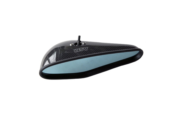 AUTOBACS ASM YOKOHAMA ASM MONACO MIRROR WET CARBON FOR HONDA S2000 AP1 100 110 120 130 200 AP2 100 110 ASM-AP1190501