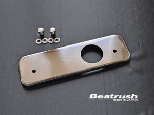 LAILE BEATRUSH ENGINE FASHION PLATE PLANE For ROVER MINI XN12 C140032FPA