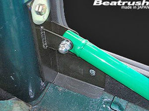 LAILE BEATRUSH SIDE PERFORMANCE BAR For ROVER MINI XN12 C80032PB-CS