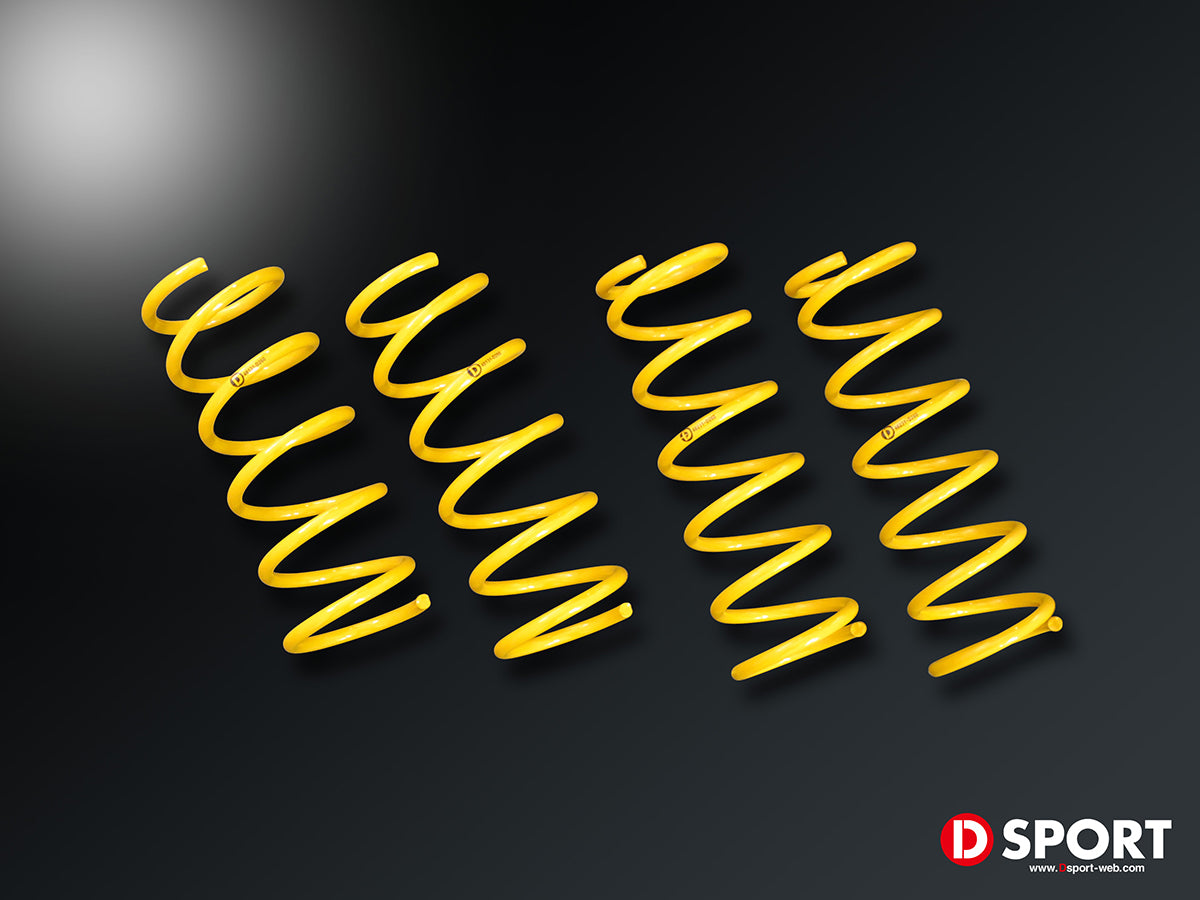 D-SPORT A-SPEC SPRING FOR DAIHATSU COPEN L880K 48131-D080
