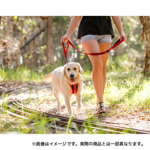 SUBARU EASY DOG ZERO SHOCK 120CM GRAY FHST22005803 