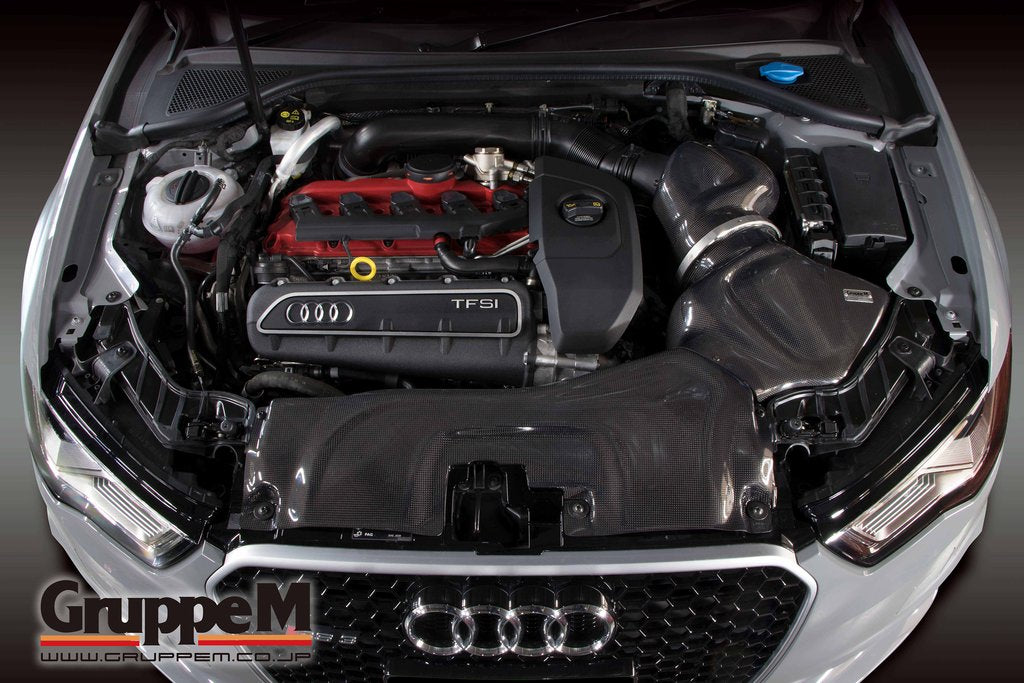 GRUPPEM RAM AIR SYSTEM  For AUDI RS3 8VDAZL 8VDAZF FRI-0220