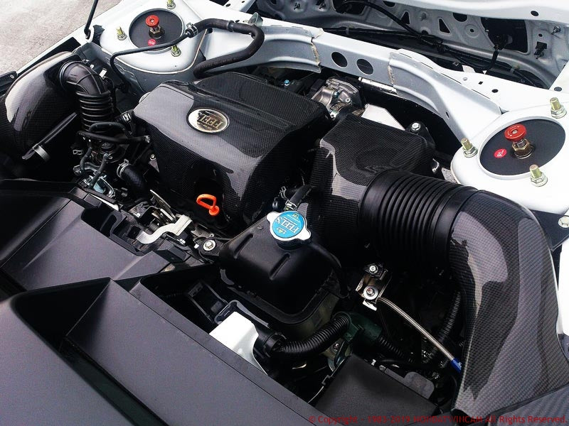 FEEL'S HONDA TWINCAM CARBON INTERCOOLER COVER FOR HONDA S660 JW5 FEELS-00775