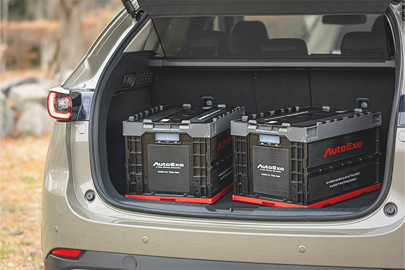 AUTOEXE FOLDABLE MINI CONTAINER 50L FOR  MAA0027