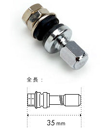BBS SHORT AIR VALVE P5615001