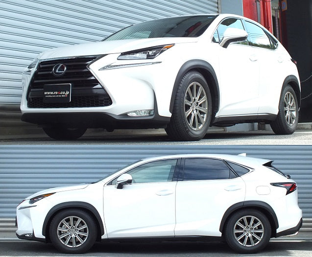 RS-R BEST-I COILOVER SUSPENSION RECOMMENDED SPRING RATE FOR LEXUS NX200T AGZ10 BIT532M