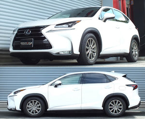RS-R BEST-I COILOVER SUSPENSION RECOMMENDED SPRING RATE FOR LEXUS NX200T AGZ10 BIT532M