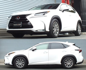 RS-R BEST-I COILOVER SUSPENSION RECOMMENDED SPRING RATE FOR LEXUS NX200T AGZ15 BIT532M