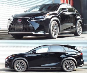 RS-R BEST-I COILOVER SUSPENSION RECOMMENDED SPRING RATE FOR LEXUS NX300H AYZ15 BIT533M