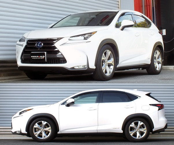 RS-R BEST-I COILOVER SUSPENSION RECOMMENDED SPRING RATE FOR LEXUS NX300H AYZ15 BIT536M