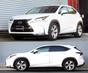 RS-R BEST-I COILOVER SUSPENSION RECOMMENDED SPRING RATE FOR LEXUS NX300H AYZ15 BIT536M