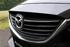 KENSTYLE CARBON GRILL GARNISH FOR  KENSTYLE-00052