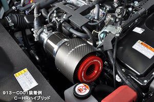 ZERO1000 CARBON FILTER SHIELD M/S 913-C007