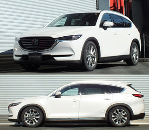 RS-R BEST-I COILOVER SUSPENSION RECOMMENDED SPRING RATE FOR MAZDA CX-8 KG2P BIM301M