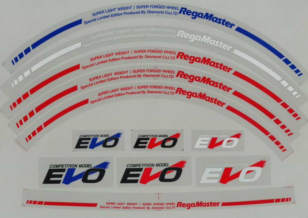 DESMOND 15 16 INCH SPOKE STICKER "EVO" DESMOND-00069