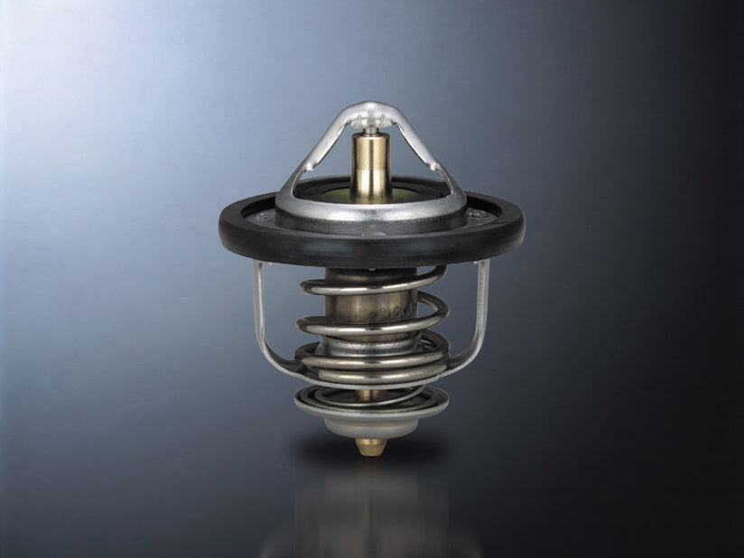 D-SPORT LOW TEMP THERMOSTAT For BOONE X 4 M312S 90048-C040