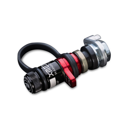 RAYS APEX DESIGN RAPID PRECISION STD AIR VALVE 1PC 6505AX0202002