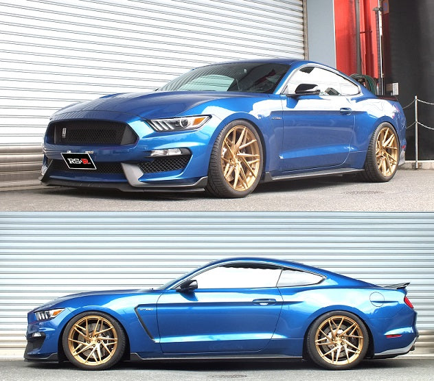 RS-R BEST-I COILOVER SUSPENSION RECOMMENDED SPRING RATE FOR FORD MUSTANG SHELBY 2017- BIFO120M