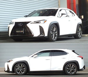 RS-R BEST-I COILOVER SUSPENSION RECOMMENDED SPRING RATE FOR LEXUS UX250H MZAH10 BIT307M