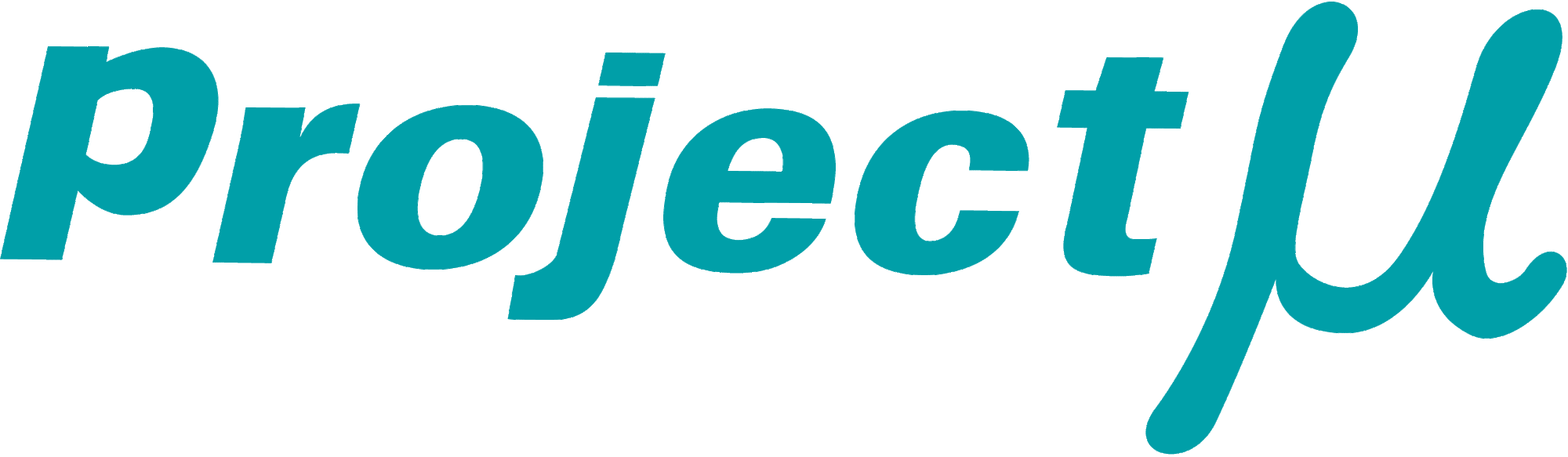 PROJECT MU SUPPORT SPRING FOR FS44S FOR  CP-SS44S