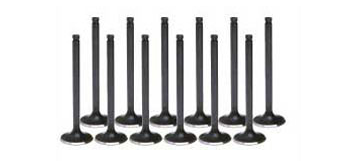 KAKIMOTO RACING  L-BIG VALVE  EG.NL081