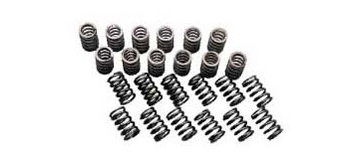 KAKIMOTO RACING  RB26DETT VALVE SPRING  EG.NRB061