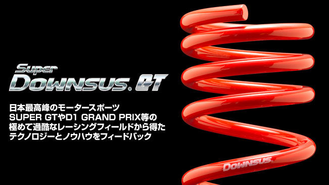 ESPELIR SUPER DOWNSUS GT SPRINGS REAR FOR NISSAN PULSAR PULSAR RNN14 SR20DET ESN-131R