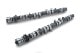 RSE CAMSHAFT SPEC-R EX 290-10.00 FOR TOYOTA 4AG 4VALVE RA301E-TY01C