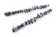RSE CAMSHAFT SPEC-R EX 290-10.00 FOR TOYOTA 4AG 5VALVE RA301E-TY02C