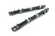 RSE CAMSHAFT SET SPEC-R 272-10.25 SOLID FOR NISSAN VG30DE(TT) RA301A-NS10A