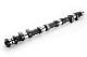 RSE CAMSHAFT SPEC-S IN 270-9.82 FOR NISSAN 240SX USDM KA24DE RA301C-NS16A