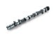 RSE CAMSHAFT SET SPEC-S 262-10.30 9.80 FOR HYUNDAI G4KF RA301A-HY01A