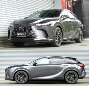 RS-R SUSPENSION DOWN 1SET FOR LEXUS RX350 TALA15 VERSION L T232D