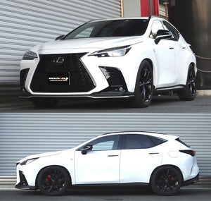 RS-R BEST-I COILOVER SUSPENSION RECOMMENDED SPRING RATE FOR LEXUS NX350 TAZA25 BIT539M
